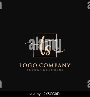 TS Initial handwriting logo with rectangle Stock Vector