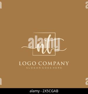 NT Initial handwriting logo with rectangle Stock Vector