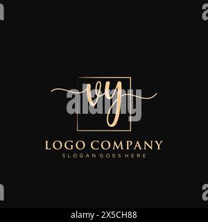 VY Initial handwriting logo with rectangle Stock Vector
