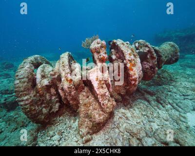 Winch of an old sunken shipwreck on the seabed. Dive site John Pennekamp Coral Reef State Park, Key Largo, Florida Keys, Florida, USA Stock Photo