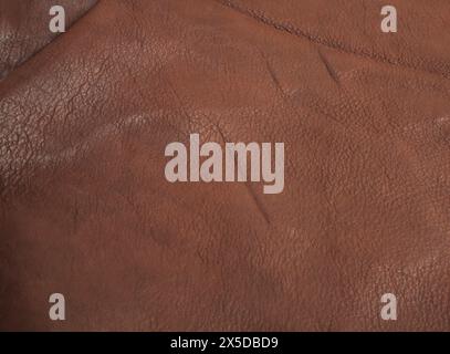 dark brown genuine leather skin isolated on white background Stock Photo