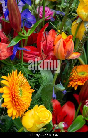 Bloemencorso Haarlem 2024. The Bloemencorso of the Bollenstreek is the largest spring festival in The Netherlands. Stock Photo