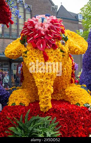 Bloemencorso Haarlem 2024. The Bloemencorso of the Bollenstreek is the largest spring festival in The Netherlands. Stock Photo