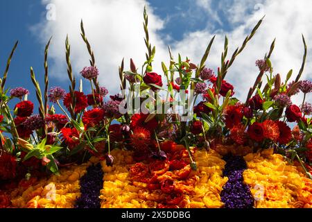 Bloemencorso Haarlem 2024. The Bloemencorso of the Bollenstreek is the largest spring festival in The Netherlands. Stock Photo