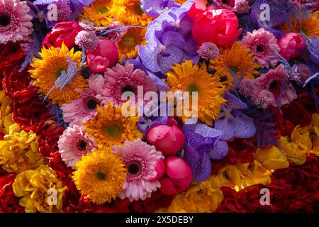 Bloemencorso Haarlem 2024. The Bloemencorso of the Bollenstreek is the largest spring festival in The Netherlands. Stock Photo