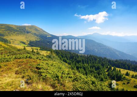 chornohora ridge of carpathian mountains in summer. steep forested slopes. bright sunny weather. popular travel destination of ukraine. petros and hov Stock Photo