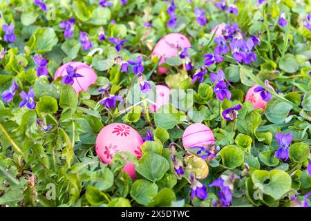 Easter eggs among spring woodland violets on sunny afternoon. First Flowers. Stock Photo