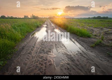 Puddles after rain on dirt road and sunset sky with clouds Stock Photo