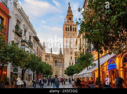 Early night in the Barrio Santa Cruz district of Seville as tourists and locals enjoy the sidewalk cafes with the cathedral and Giralda Tower in view. Stock Photo