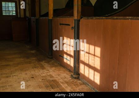 Sunlight casting a window shaped shadow on a horse stable stall in County Down Stock Photo