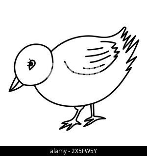 Chicken bird line drawing. Doodle vector illustration. Stock Vector