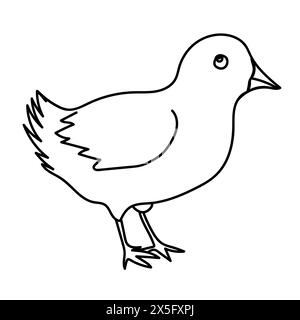 Chicken bird line drawing. Doodle vector illustration. Stock Vector