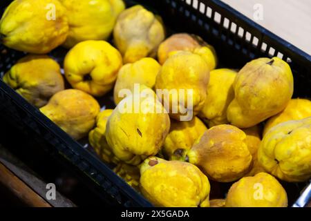 Picture of fresh aiva on counter in food market Stock Photo