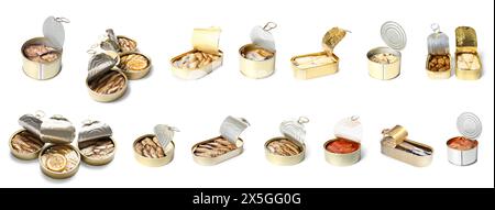 Set of delicious canned fish on white background Stock Photo