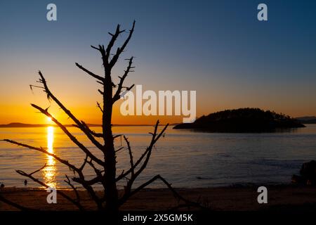 WA24842-00....WASHINGTON - Deception Island, Rosario Strait and the Salish Sea viewed from West Point Beach Whidbey Island, Deception Pass State Park. Stock Photo