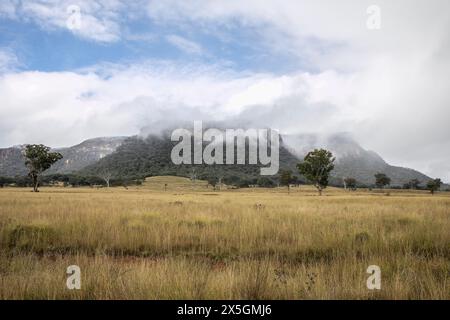 Capertee Valley and the stunning sandstone cliffs in Wollemi national park, UNESCO world heritage site, Regional New South Wales,Australia Stock Photo