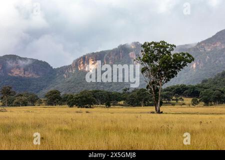 Capertee Valley and the stunning sandstone cliffs in Wollemi national park, UNESCO world heritage site, Regional New South Wales,Australia Stock Photo