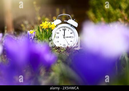 Weißer Wecker inmitten von Frühlingsblumen, Symbolfoto Sommerzeit und Zeitumstellung Stock Photo