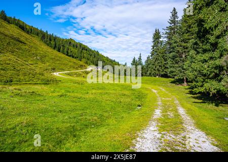 Winding road through lush green hills under a blue sky with wispy clouds, surrounded by dense forests in an alpine region. Austria Stock Photo