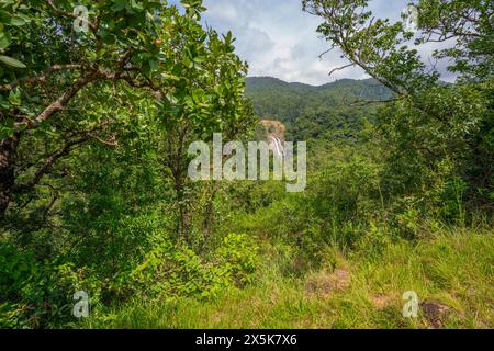 View of Mantenga Falls, Mantenga Cultural Village a traditional Eswatini settlement, Malkerns, Eswatini, Africa Copyright: FrankxFell 844-33233 Stock Photo