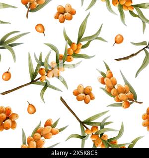 Sea buckthorn fall watercolor seamless pattern with branches and berries on white. Herbal background for cosmetics Stock Photo