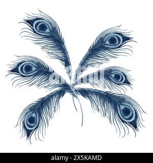 Peacock feathers arranged as a tail of a bird. Blue indigo monochrome composition. Hand drawn watercolor illustration isolated on white background Stock Photo