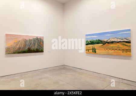 Venice, Italy - April 19, 2024: The paintings of Kay WalkingStick exposed at the Central Pavilion during the 60th International Art exhibition of Veni Stock Photo