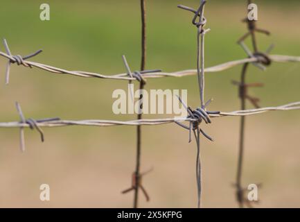 gray barbed wire gray barbed wire Stock Photo