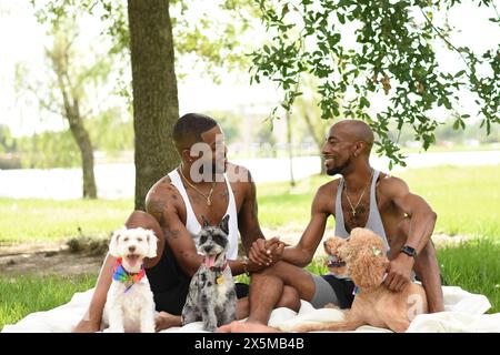 USA, Louisiana, Gay couple with dogs having picnic on lawn in park Stock Photo