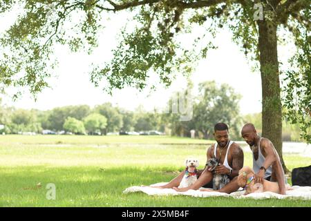 USA, Louisiana, Gay couple with dogs having picnic on lawn in park Stock Photo