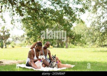 USA, Louisiana, Gay couple with dogs having picnic on lawn in park Stock Photo