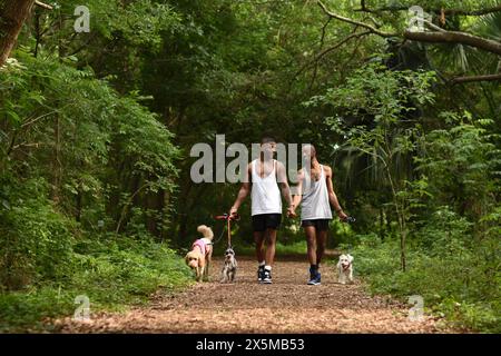 USA, Louisiana, Gay couple with dogs walking in park Stock Photo