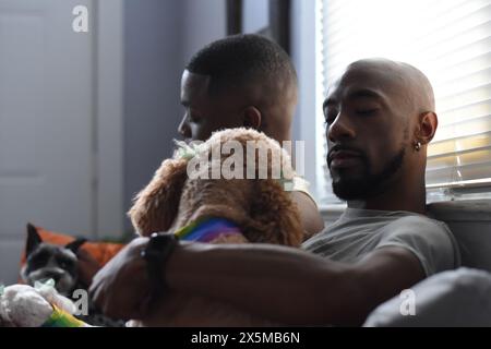 USA, Louisiana, Gay couple with dogs relaxing on sofa Stock Photo