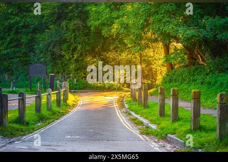 Heath brow entry to the Hempstead Heath with backlit sunlight in London Stock Photo