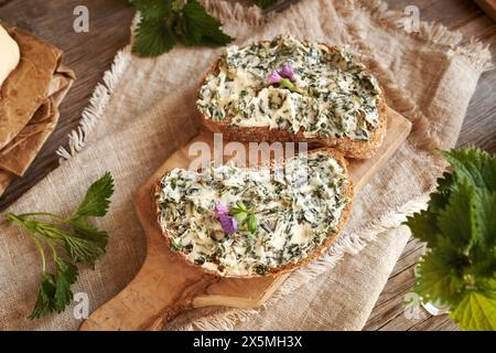 Nettle butter on slices of sourdough bread. Made of wild edible plants harvested in spring. Stock Photo