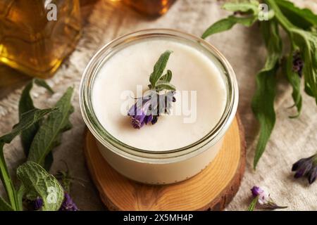 A jar of homemade comfrey root ointment with fresh blooming knitbone plant Stock Photo