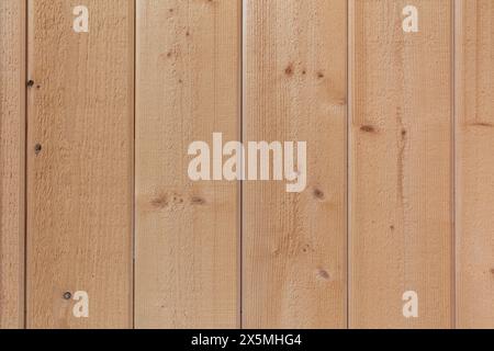 Detail of pine wood panel wall Stock Photo
