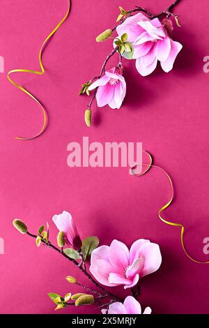 Vibrant Pink Magnolia Flowers with Green Buds and Yellow Ribbons on a Deep Pink Background. Stock Photo