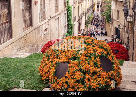 Girona, Spain, May 18th 2013:  A blossoming ladybug amidst the Temps de Flors Festival Stock Photo