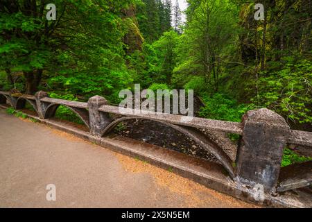 Oneonta Gorge, Columbia River Gorge National Scenic Area, Oregon, USA Stock Photo