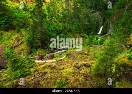 Wahclella Falls, Columbia River Gorge National Scenic Area, Oregon, USA Stock Photo