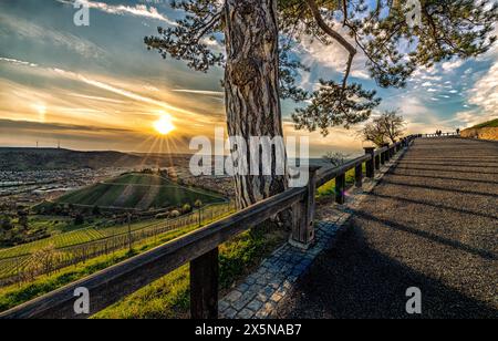 Panoramic view of Stuttgart am Württemberg, road to the grave chapel at sunset, long shadows Stock Photo