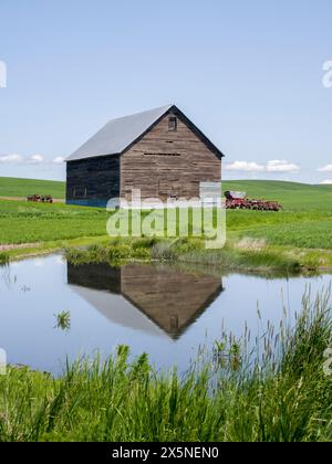 USA, Washington State, Palouse. Old shed reflecting in a pond. Stock Photo