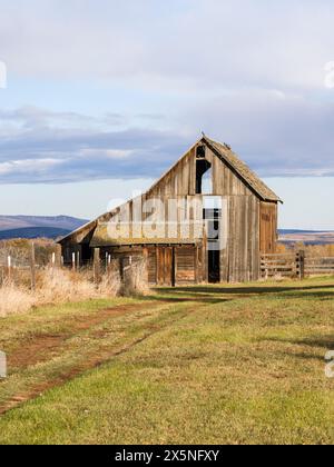 USA, Washington State, Kittitas County. Old wooden barn in Kittitas County. Stock Photo