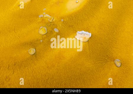 Ear Spring in the Upper Geyser Basin is named for its shape. It often ...