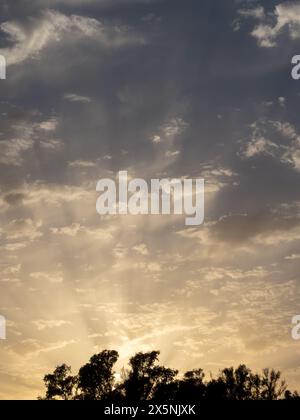 Sunset sun with a set of altocumulus clouds in the sky Stock Photo