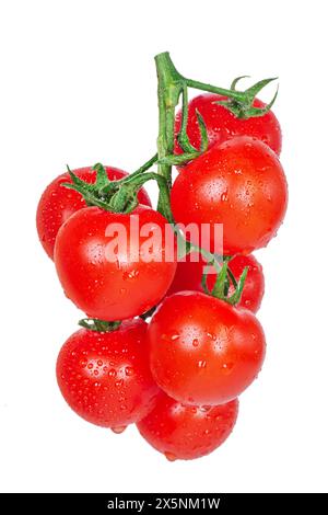 Branch with ripe tomatoes. Vegetables. Red tomatoes isolate on a white background. Stock Photo