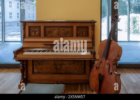 Classical music concept: old cello and old piano Stock Photo