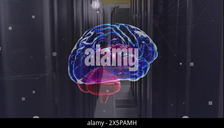 Image of network of connections and brain over server room Stock Photo