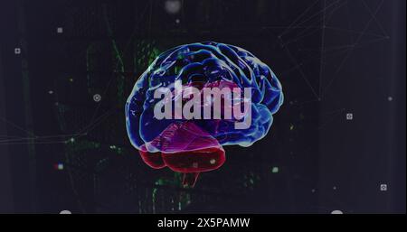 Image of network of connections and brain over server room Stock Photo